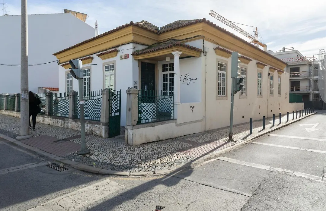 Le Penguin Hostel-1