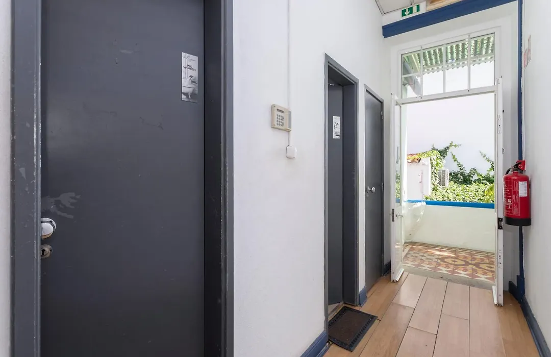 Le Penguin Hostel-1