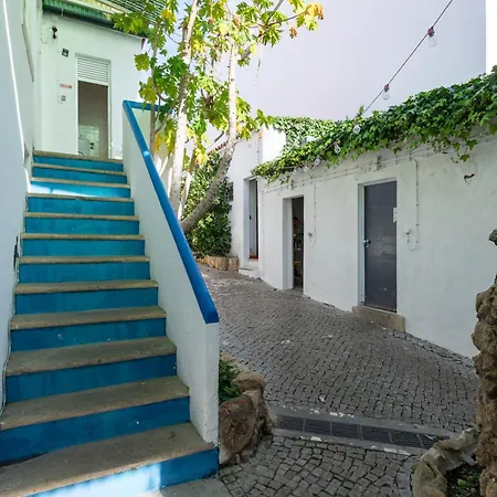 Le Penguin Hostel-3